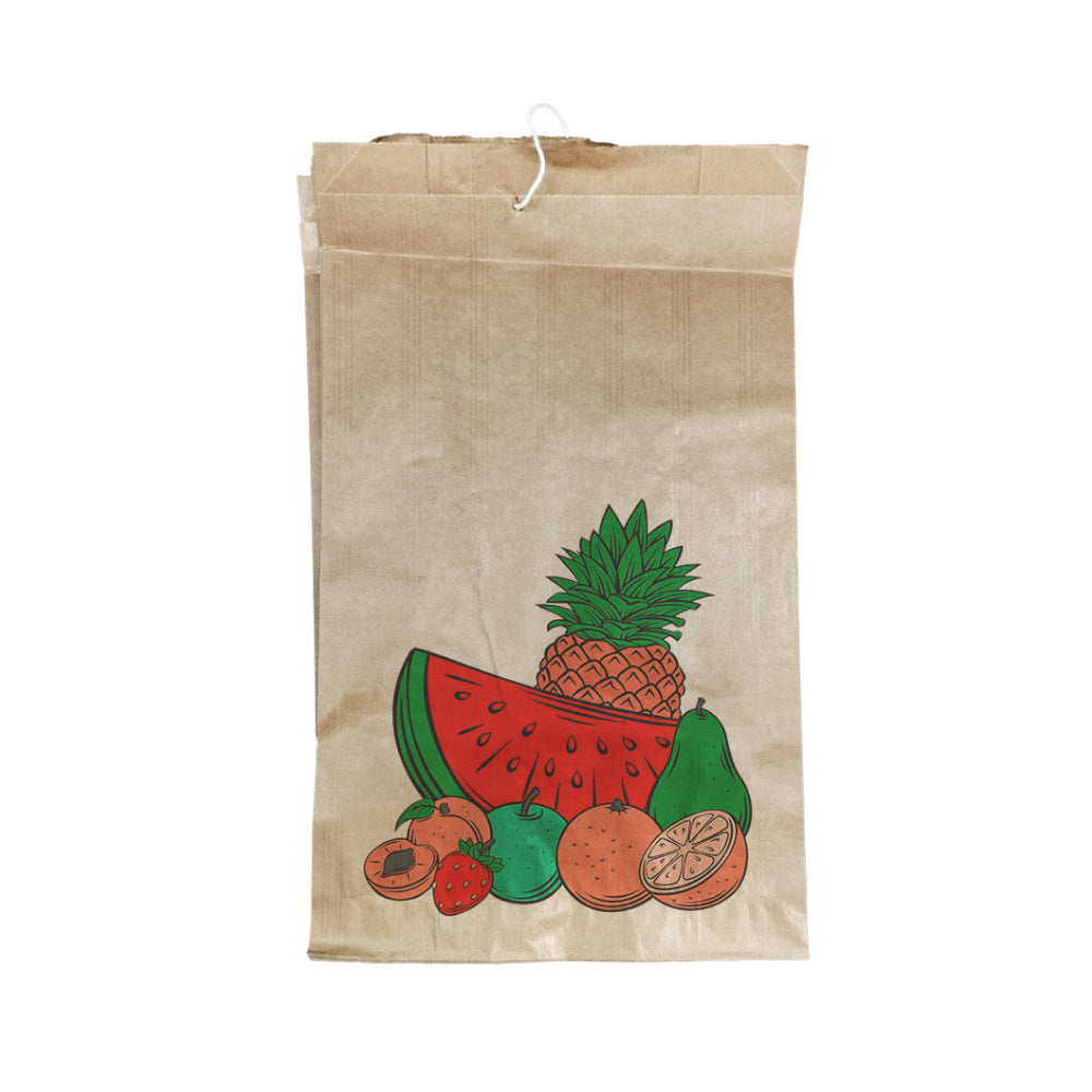 Bolsa Papel para Fruta 14x9x21cm até 500g c/Cordel 975un - 6621421