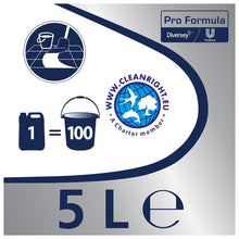 Carregar imagem no visualizador da galeria, Detergente Cif PF Multiusos Frescura de Pinho 5L