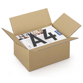 Caixa Cartão Simples 312x225x152mm 25un - 1701085