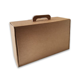 Caixa Auto-Montável C/Pega 345x197x093mm Cartão Simples - 6581106