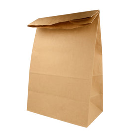 Saco sem Asas 25x15x45cm Papel Kraft 080g 1un - 6701199