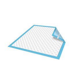 Resguardo Absorvente 60x90cm Azul 50un - 6831764